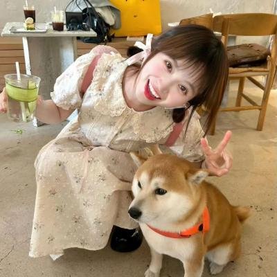 迷魂阵